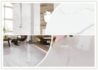 Tuile de marbre résistante de porcelaine de regard de Frost pour la chambre à coucher/cuisine