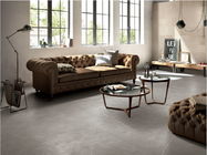 Conception intérieure 60x60cm Grey Color Thin For Bedroom de plancher de carreau de céramique et salon