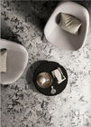 Carreau de céramique poli par porcelaine moderne de salle de bains de 10mm