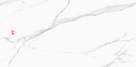 Plein Body12 salon blanc de tuiles de porcelaine de l'épaisseur 900x1800