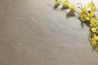 Couleur micro d'intérieur antibactérienne de beige de Novalux de ciment de carreaux de céramique