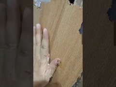 Présentation du carrelage en céramique imitation bois 200x1200mm