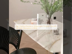 Carrelage de porcelaine d'intérieur blanc à haute résistance chimique et faible absorption d'eau en blanc