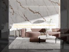 Carrelage en porcelaine d'intérieur 1200x2700mm, haute résistance aux taches pour un entretien facile