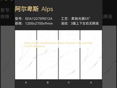 Dalles de carrelage en porcelaine d'intérieur à haute résistance au glissement et à haute résistance aux rayures