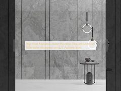 Carreaux de porcelaine intérieurs à haute résistance au gel avec moins de 0,5% d'absorption d'eau et équipe de paiement L/C