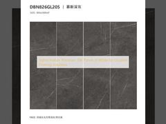 Panneaux de carrelage en porcelaine d'intérieur élégants en blanc pour des solutions de revêtement de sol durables