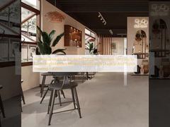 Résistance au glissement R9 à R11 - Carrelage en porcelaine moderne - Facile à nettoyer et à entretenir - Style moderne et simple - Solution de revêtement de sol durable et élégante