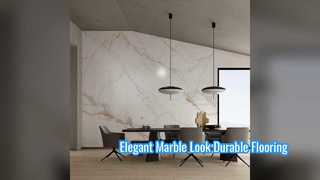 Carreaux de porcelaine durables d’aspect marbre pour sols modernes