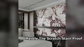 Taches d'éraflure de tuile de porcelaine d'aspect de marbre résistantes