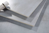 Tuile moderne de Matt Rusted Ceramic Kitchen Floor de couleur de glace de taille de la tuile 600x600 millimètre de porcelaine de série de pierre de Sameal