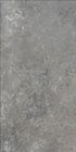 Tuile extérieure de ciment de carrelage de porcelaine de pièce de Matte Finish Grey Vitrified Living