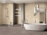 décoration durable marron profonde de luxe de douche de carreau de céramique de salle de bains de 600x600mm