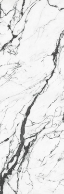 Tuile de dalle de porcelaine antibactérienne BASALTE GLACIAL pour la cuisine