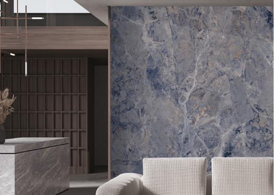 3 modèles de carreaux de porcelaine intérieurs Résistance aux rayures 6 mm d'épaisseur