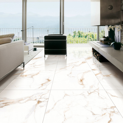 4 Panneaux de carrelage en porcelaine pour l'intérieur et l'extérieur