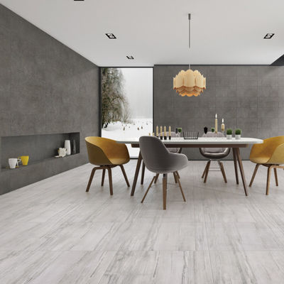 Facilité d'entretien Les carreaux de porcelaine intérieurs avec absorption de l'eau 0,5% résistance aux taches