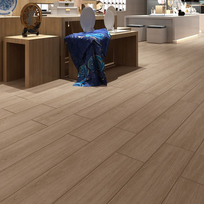 Combinaison parfaite de fonctionnalité et d'esthétique intérieurs en porcelaine