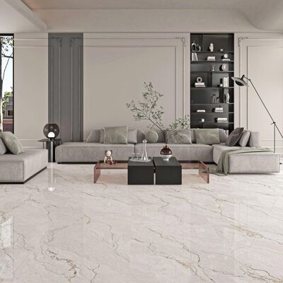 Carreaux de porcelaine de marbre de 9 mm d'épaisseur 750x1500 mm avec une grande variation