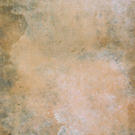 Résistance de compression d'épaisseur de la tuile 20mm de porcelaine de regard de ciment de jardin