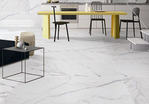 Tuile résistante de la porcelaine 24x48 de Frost, tuile de marbre de porcelaine de style