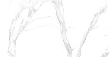 La porcelaine d'intérieur de Carrare de couleur blanche superbe couvre de tuiles le bas taux d'absorption