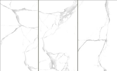 la porcelaine d'intérieur d'épaisseur de 10mm couvre de tuiles la couleur blanche superbe de panneaux de mur de douche