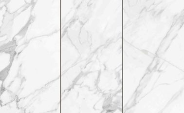 Les 600 x 300 tuiles d'intérieur de porcelaine, aménagent le marbre en parc blanc de couleur couvre de tuiles des dalles