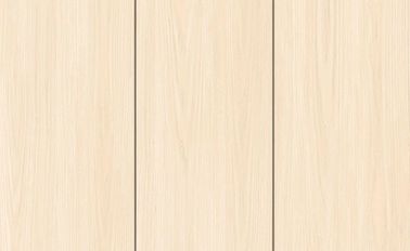 Tuiles d'intérieur 300*600 millimètre/tuile en céramique de porcelaine de conception de marbre de Digital de mur