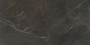 Muti commercial colorent les tuiles d'intérieur de marbre de porcelaine d'isolation thermique de tuile de porcelaine de regard