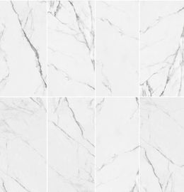 Carreau de céramique de regard de porcelaine de salle de bains résistante chimique de marbre durable de la tuile 800 X800mm