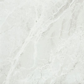 Les tuiles d'intérieur antibactériennes de porcelaine allument Grey Glazed Polished Surface