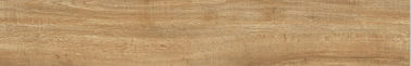 Le regard du bois d'intérieur de plancher de tuiles et de mur de porcelaine de mur de salle de bains a cessé