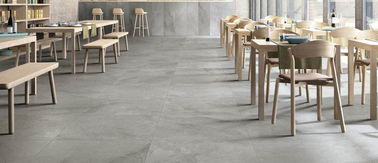 Tuile en pierre résistant à l'acide de porcelaine de regard de Grey Matt Finish Tiles For Walls