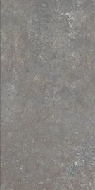 Tuile extérieure de ciment de carrelage de porcelaine de pièce de Matte Finish Grey Vitrified Living