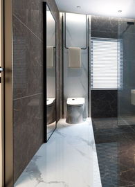 de 750*1500mm de mur précision de tuile durable de porcelaine de glissement non haute décorative