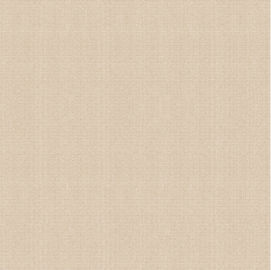 Tuile de porcelaine de regard de Matt Surface Non Slip Cement, Matt Porcelain Tiles rustique 600*600mm