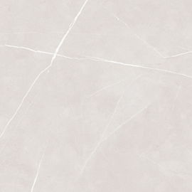 Outre de la salle de bains blanche le carreau de céramique pouces/24*24 glissent non des tuiles de Matt Finsh Floor And Wall