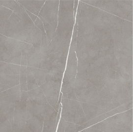 Conception intérieure 60x60cm Grey Color Thin For Bedroom de plancher de carreau de céramique et salon