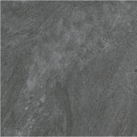 Absorption de basse mer 24' tuile résistante à l'usure de mur de l'épaisseur 9.5mm de carreau de céramique de salle de bains de X24
