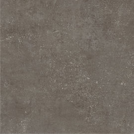 Grey Color Floor Porcelain 24