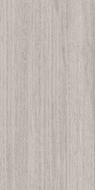 tuile moderne externe de porcelaine de carrelages de porcelaine de 1200x2400 Matt Glazed Large Format Grey