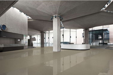 Carrelage 1600*3200mm en céramique intérieur de cuisine de grand format