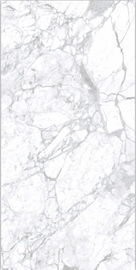 la grande porcelaine de regard de marbre de dalle de 160x320cm couvre de tuiles le mur et le carrelage vitrés polis pour le lieu de réunion et le Holte