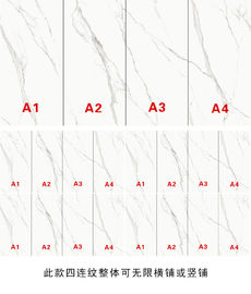 Tuiles de marbre de mur de salle de bains de Matt Surface 900x1800 de regard