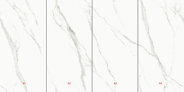 Plein Body12 salon blanc de tuiles de porcelaine de l'épaisseur 900x1800