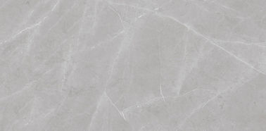 L'absorption de basse mer de conception de l'Italie 36x72 avance le carrelage petit à petit de porcelaine de salon