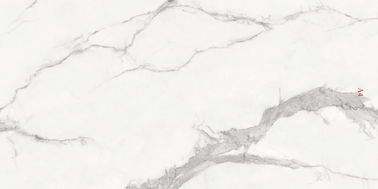 Art Design Marble Look 	tuile moderne de la porcelaine 900x1800