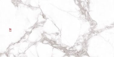 Tuiles d'intérieur de porcelaine de la cuisine modelées par style moderne 900x1800