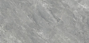 carrelage de porcelaine de salon de 900*1800mm